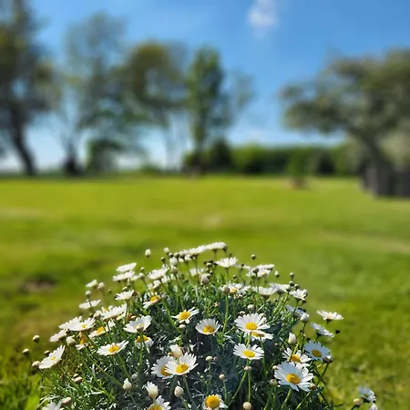 Loft Le Haras D'agathe Et Ses Princes