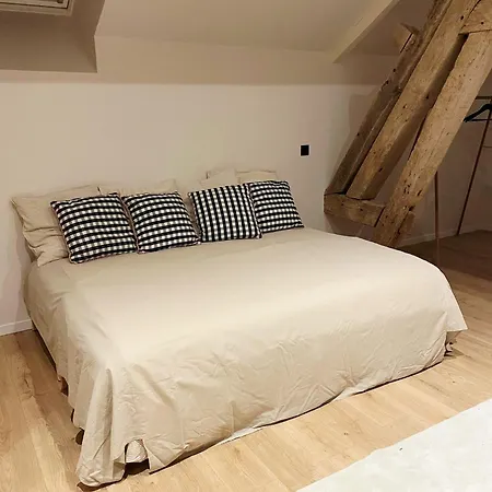 Loft Le Haras D'agathe Et Ses Princes Mandres