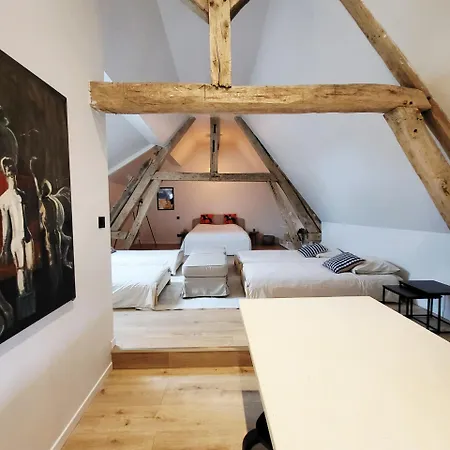 Loft Le Haras D'agathe Et Ses Princes Appartement Mandres