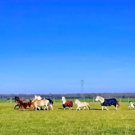Loft Le Haras D'agathe Et Ses Princes Mandres